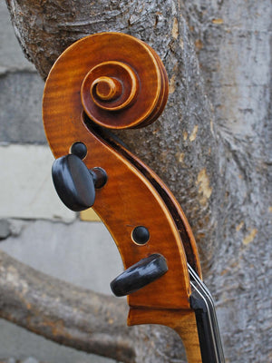 J.W. Schult early 20th Century - 4/4 Cello