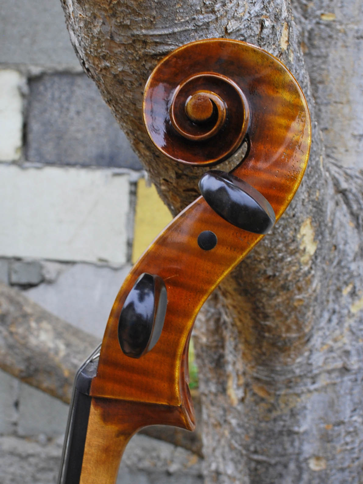 Antonio Fiorini 650 'Stradivari' - 7/8 Cello