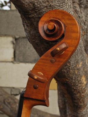 Raul Emiliani model 928 'Stradivari' 4/4 Cello