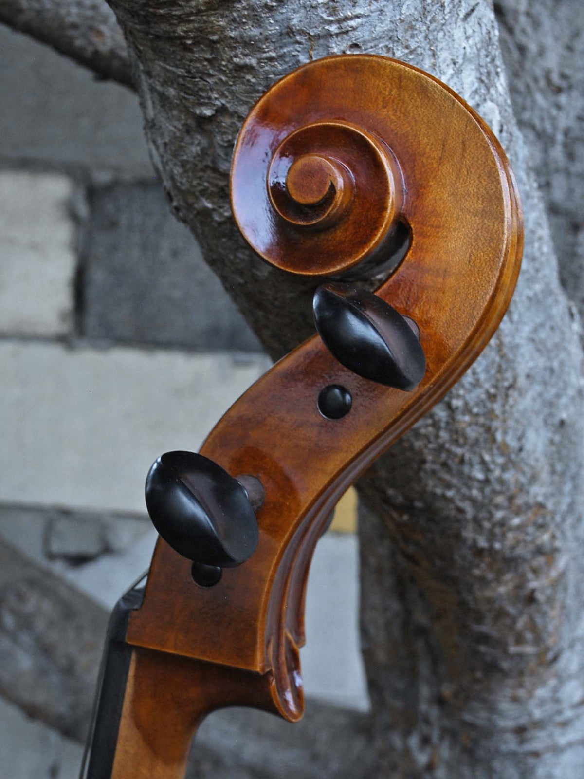 Vivo model 400 Strad 4/4 Cello (B)