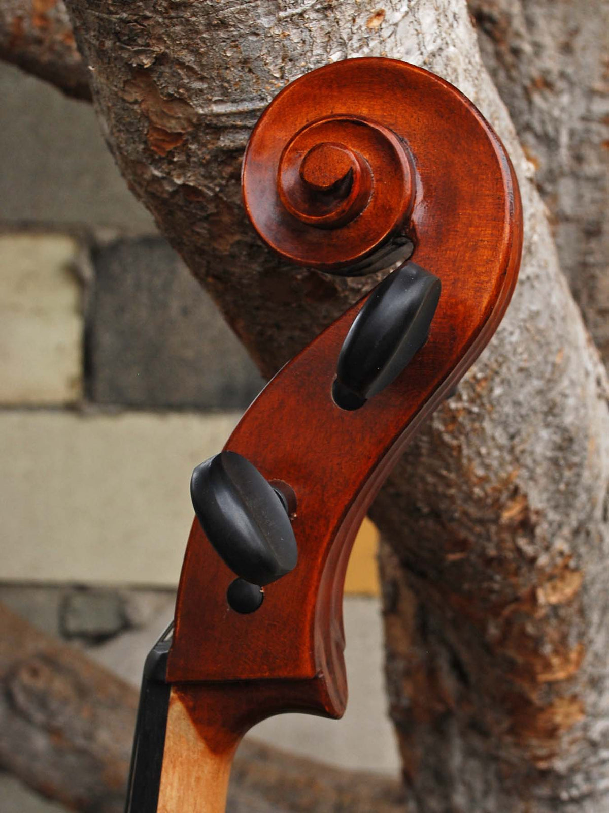 Eastman model 315 3/4 Cello