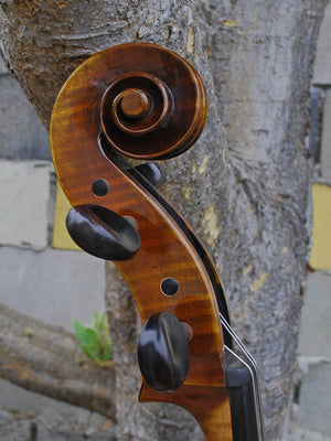 Antonio Fiorini 650 'Stradivari' - 7/8 Cello