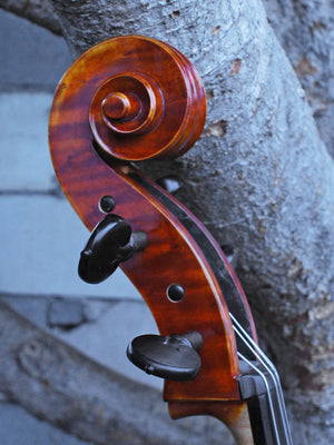 Calin Wultur #7 "Deluxe" Montagnana Birdseye Maple 4/4 Cello