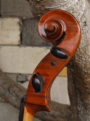 Ivan Dunov model 401 'Strad'  - 4/4 Cello (A)