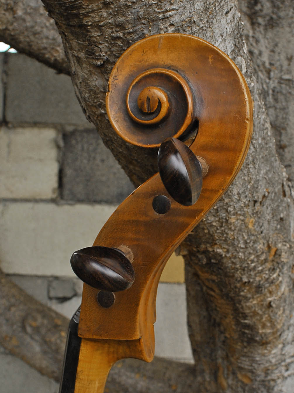 Old Cello labeled 'Ferdinandus Gagliano 1761' - 4/4 Cello