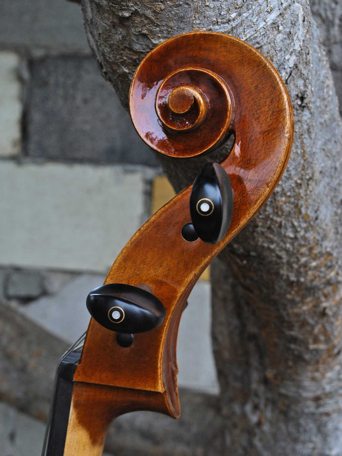 Vivo model 400 Strad 4/4 Cello (A)