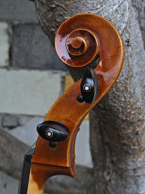Vivo model 400 Strad 4/4 Cello (A)