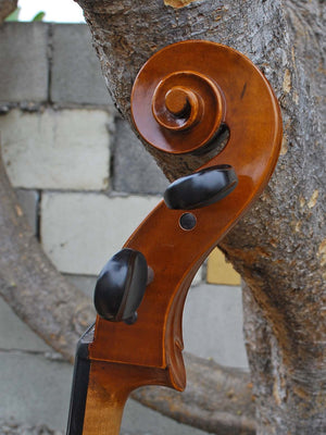 C.L. Wynn 520 'Strad' 7/8 Cello