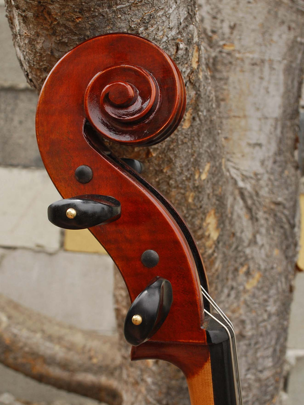 Jean-Pierre Lupot 'Strad' model 501 - 7/8 Cello
