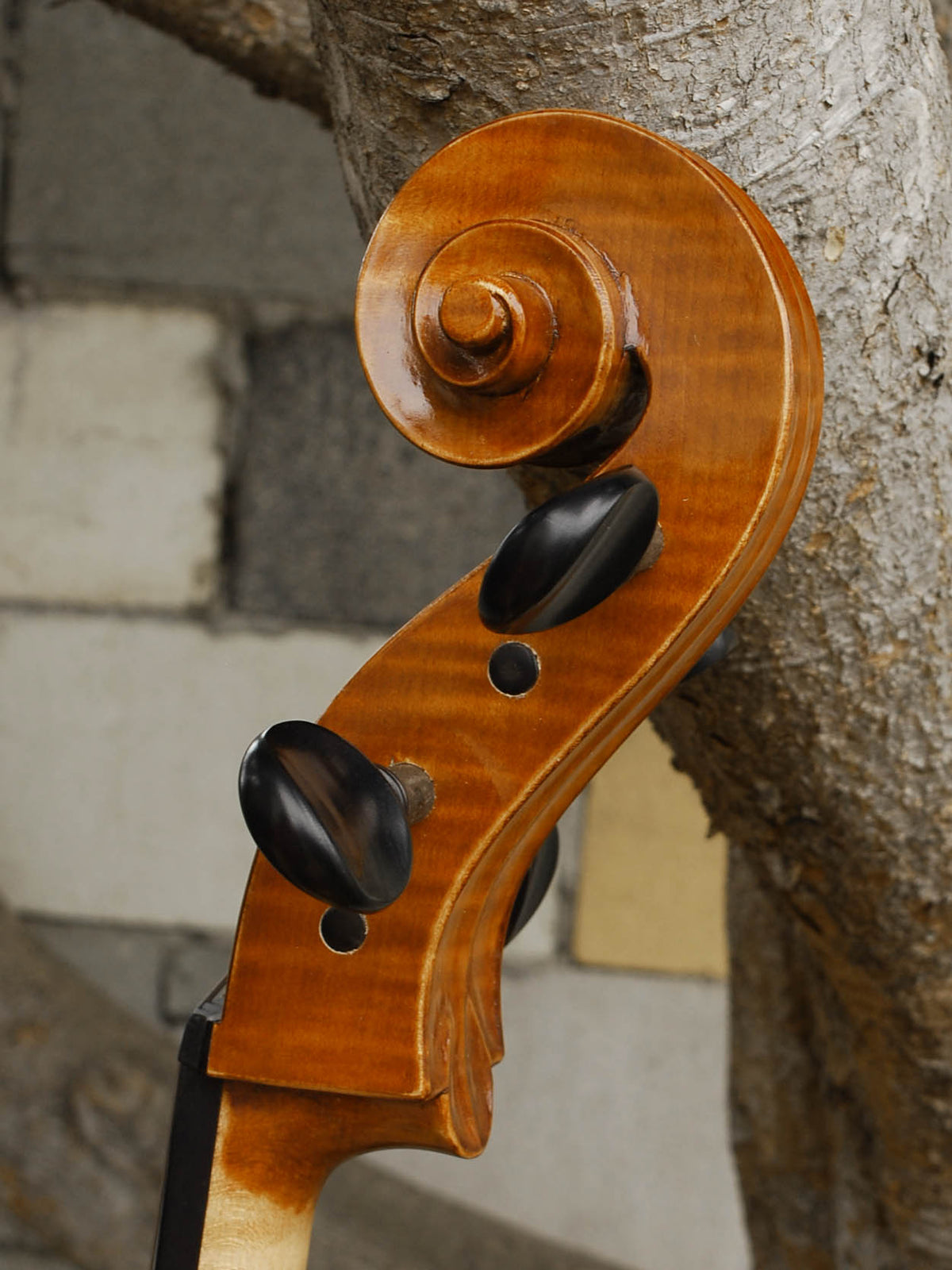 Calin Wultur model #6 'Guarneri' 4/4 Cello