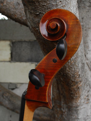 Vivo Limited 7/8 Cello
