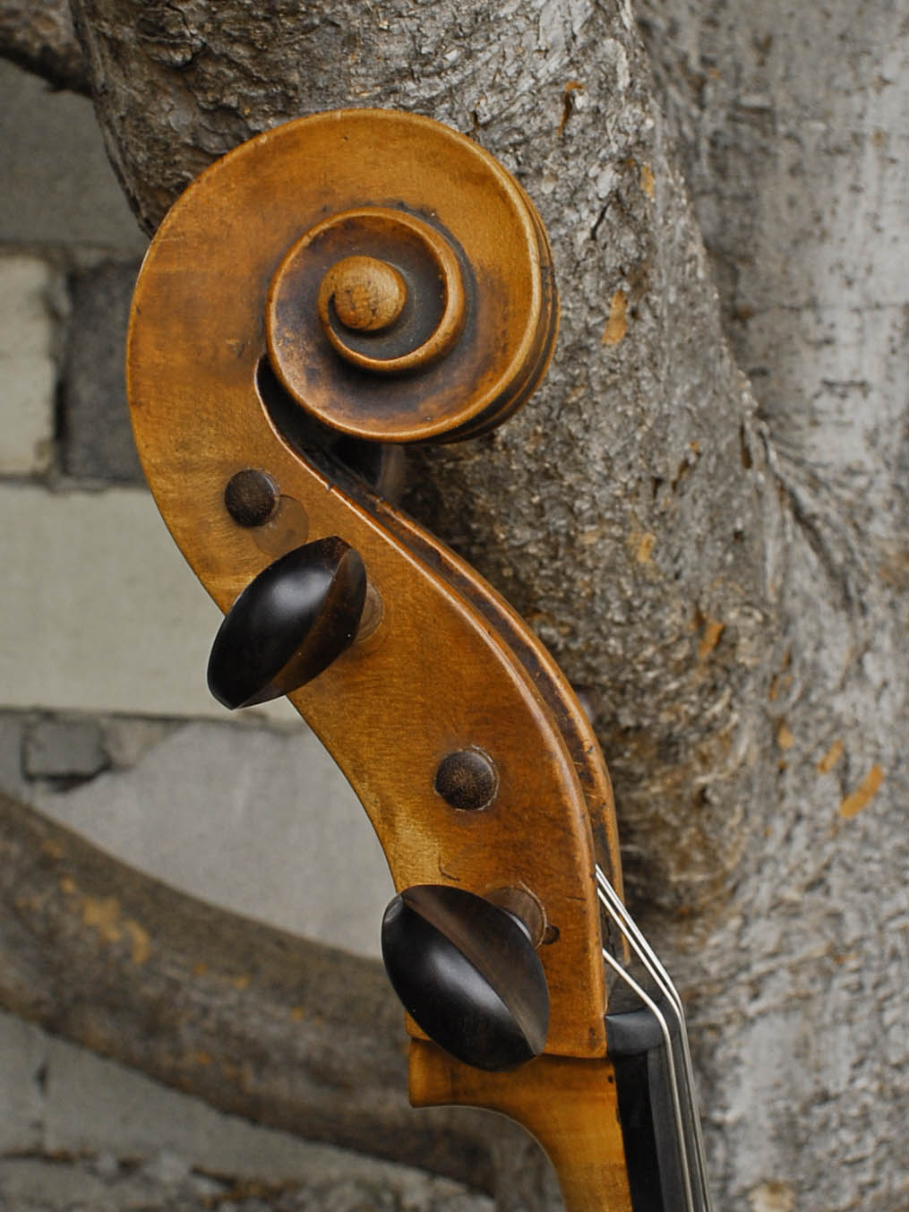 Old Cello labeled 'Ferdinandus Gagliano 1761' - 4/4 Cello