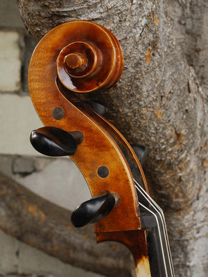 Vivo model 400 'Strad' 7/8 Cello