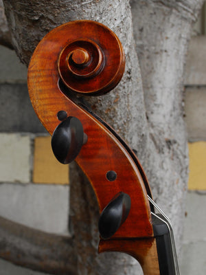 Vivo Limited 7/8 Cello
