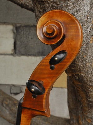 Eastman model 830 Poplar 4/4 Cello