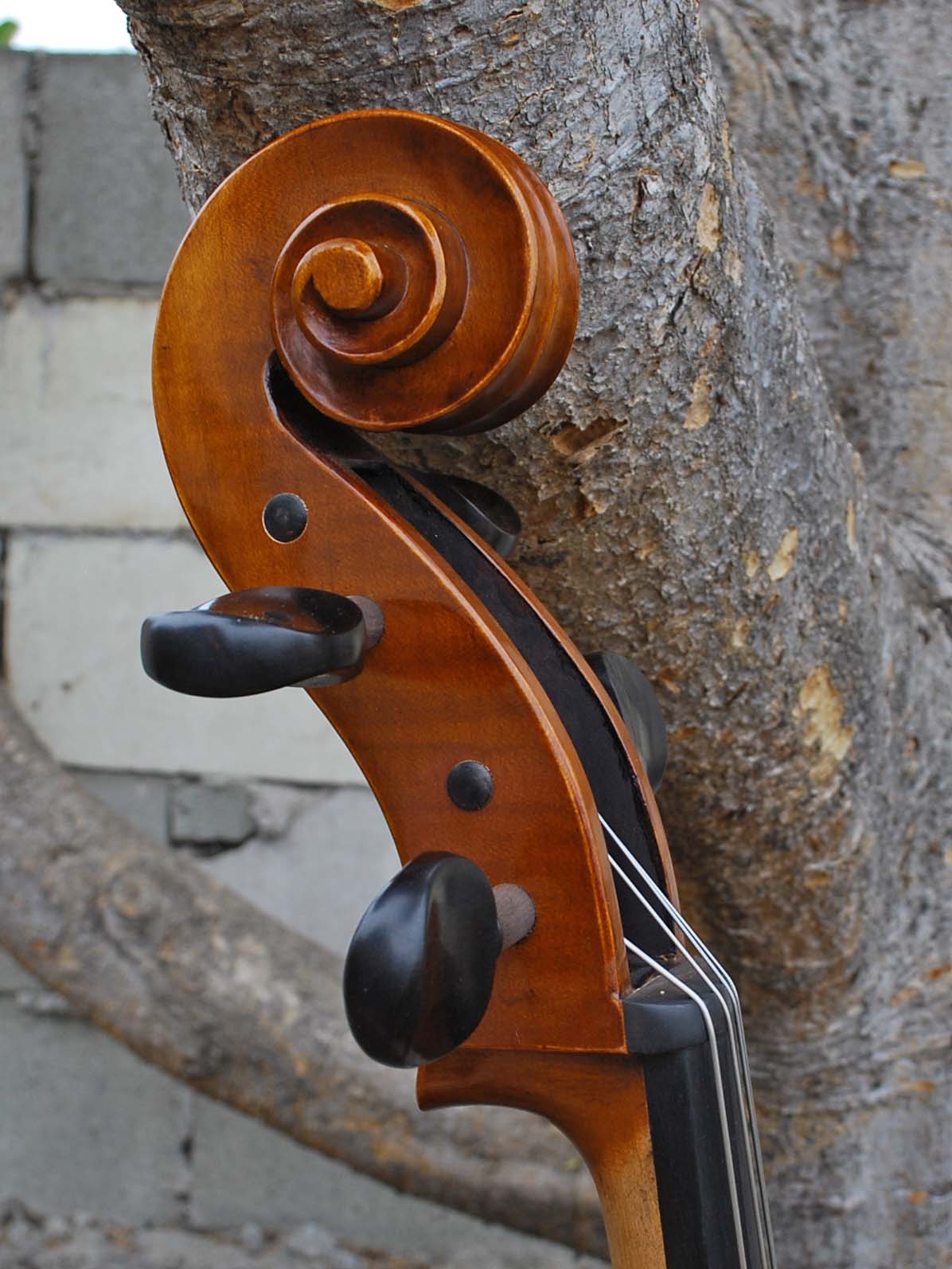 C.L. Wynn 520 'Strad' 7/8 Cello