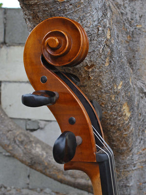 C.L. Wynn 520 'Strad' 7/8 Cello