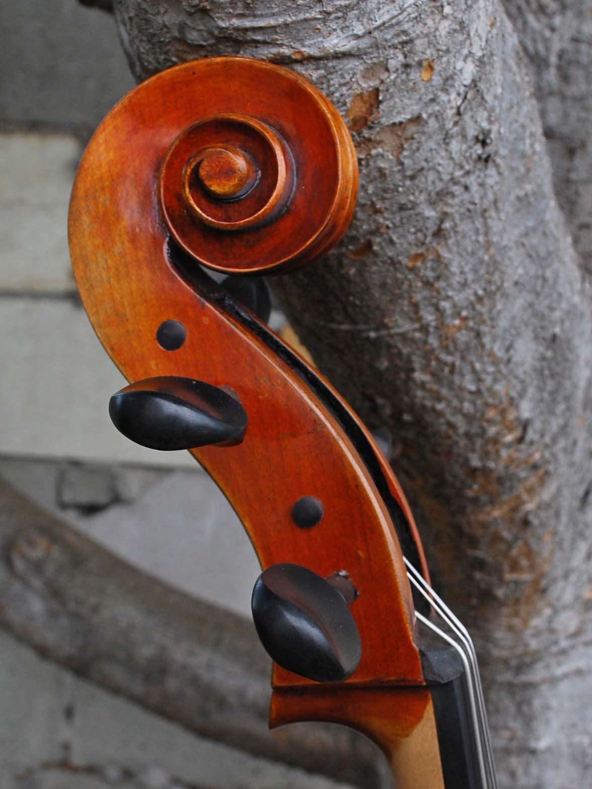 Vivo Limited 7/8 Cello