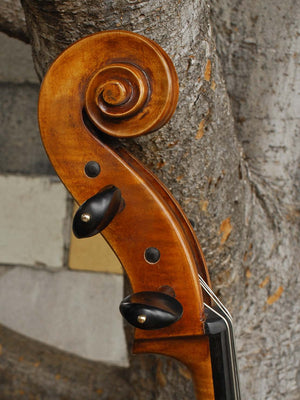 Eastman model 830 Poplar 4/4 Cello
