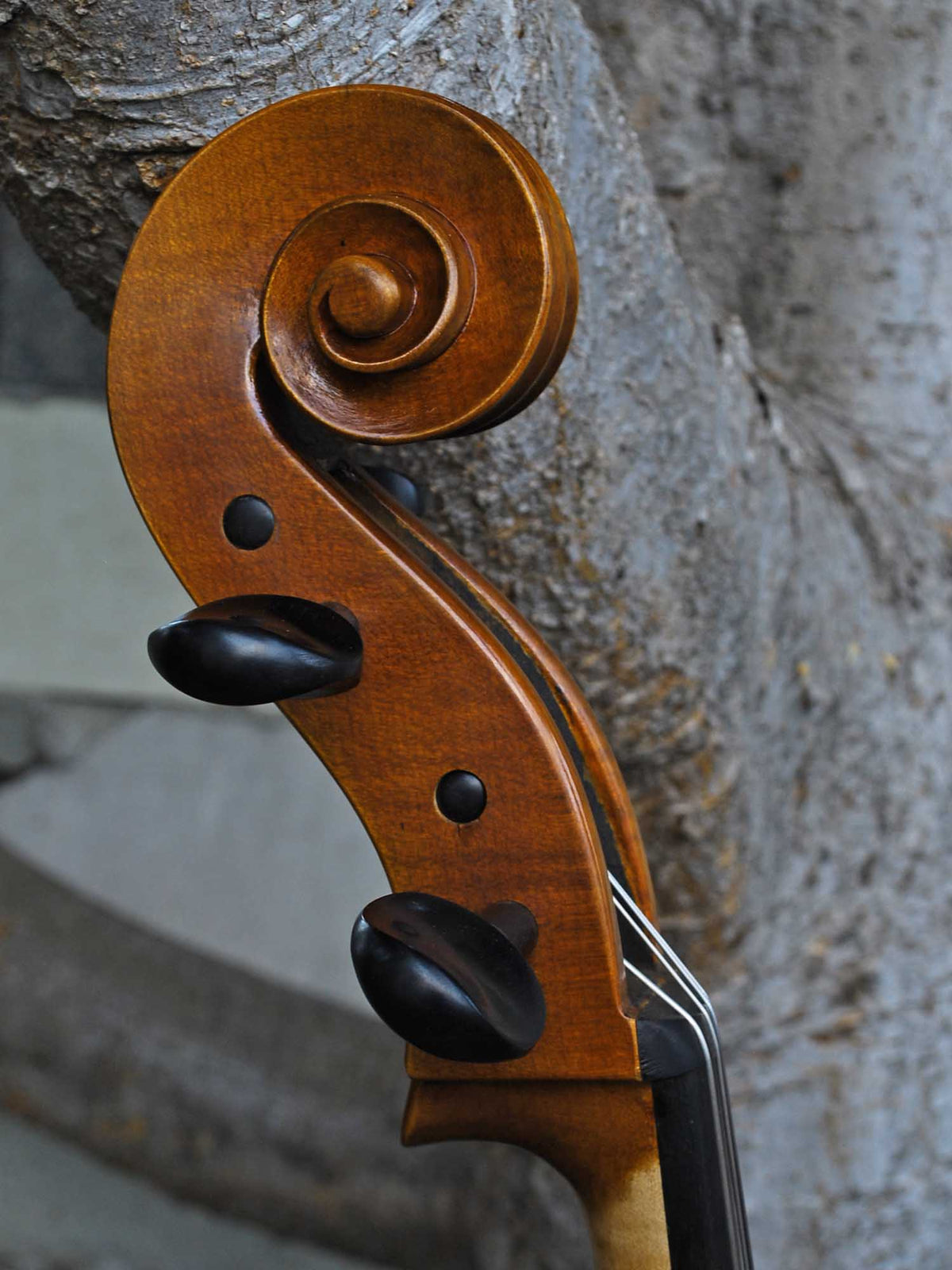 Vivo 'King Amati' 4/4 Cello