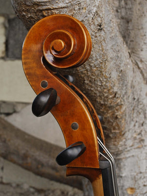 Vivo Zetoni model 300 4/4 Cello
