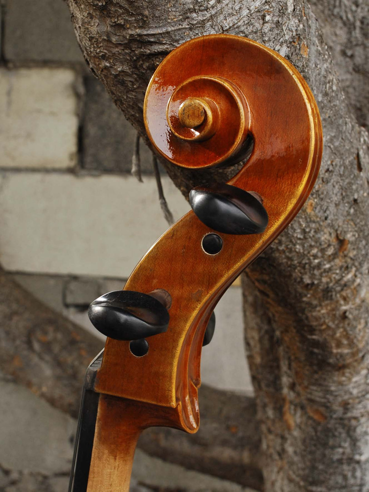 Vivo 200 '1710 Strad' 4/4 Cello