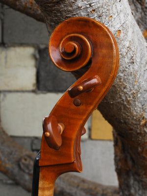 Pietro Lombardi Model 502, 4/4 Cello - Used