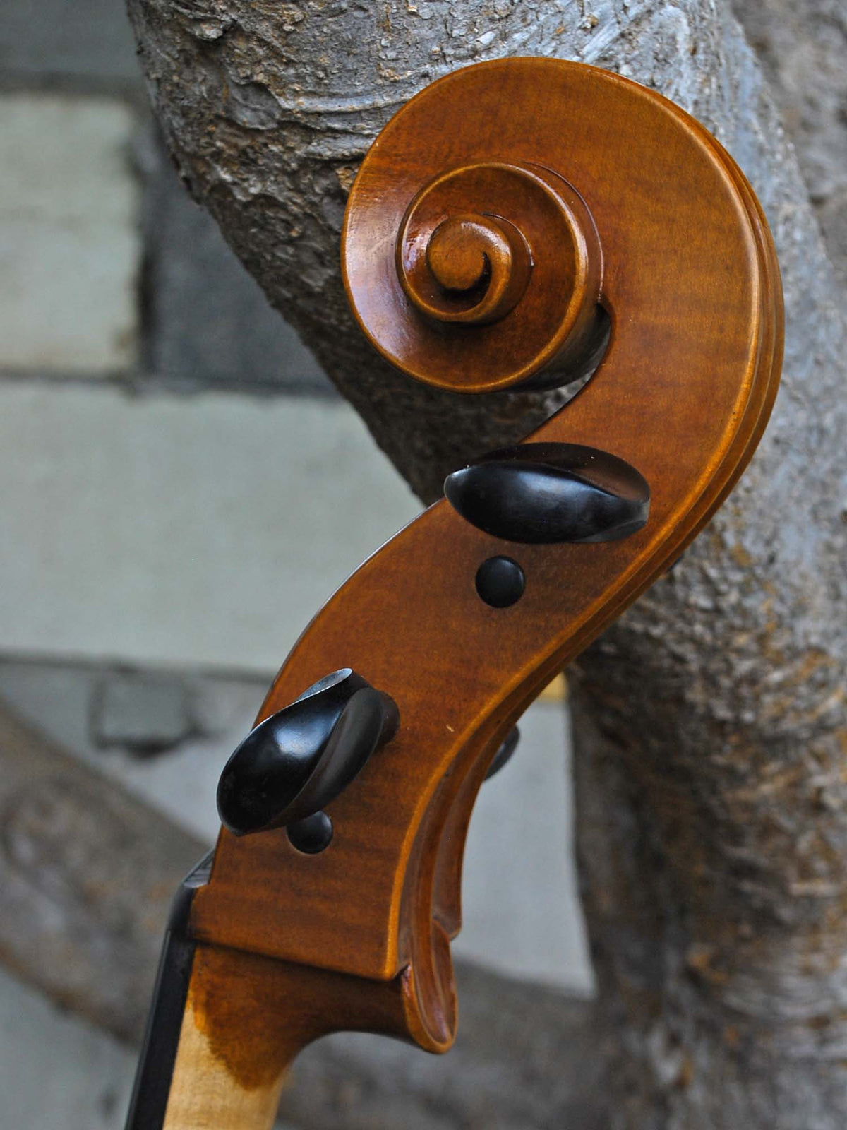 Vivo 'King Amati' 4/4 Cello