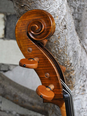 Eastman model 405 'Strad'  - 4/4 Cello