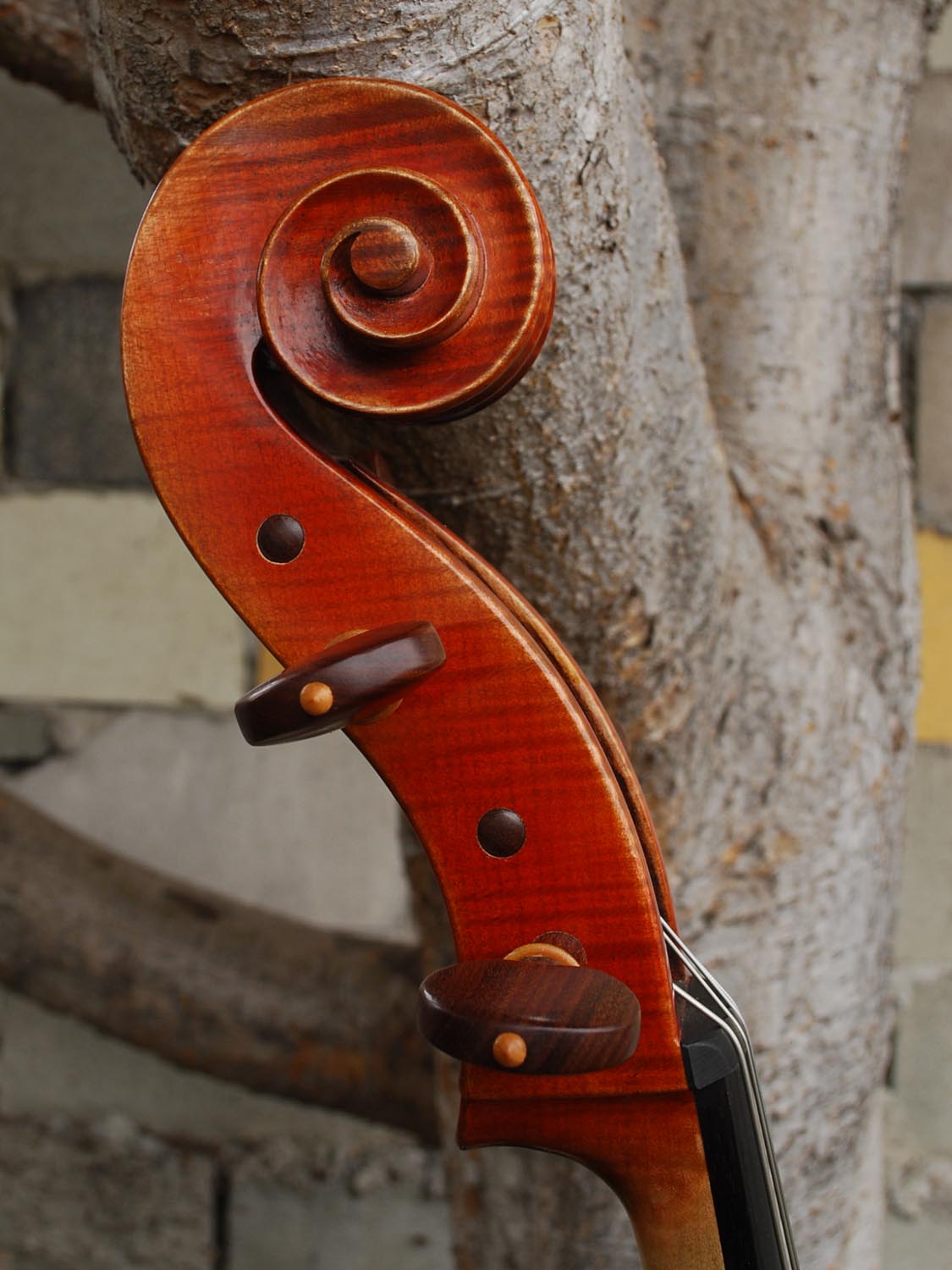 Zhen Jie Zhao Master 'Sleeping Beauty Montagnana' 4/4 Cello