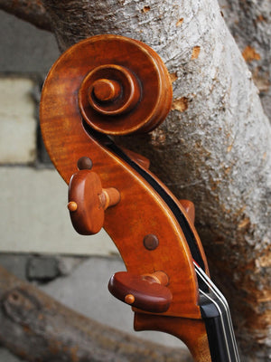 Pietro Lombardi Model 502, 4/4 Cello - Used
