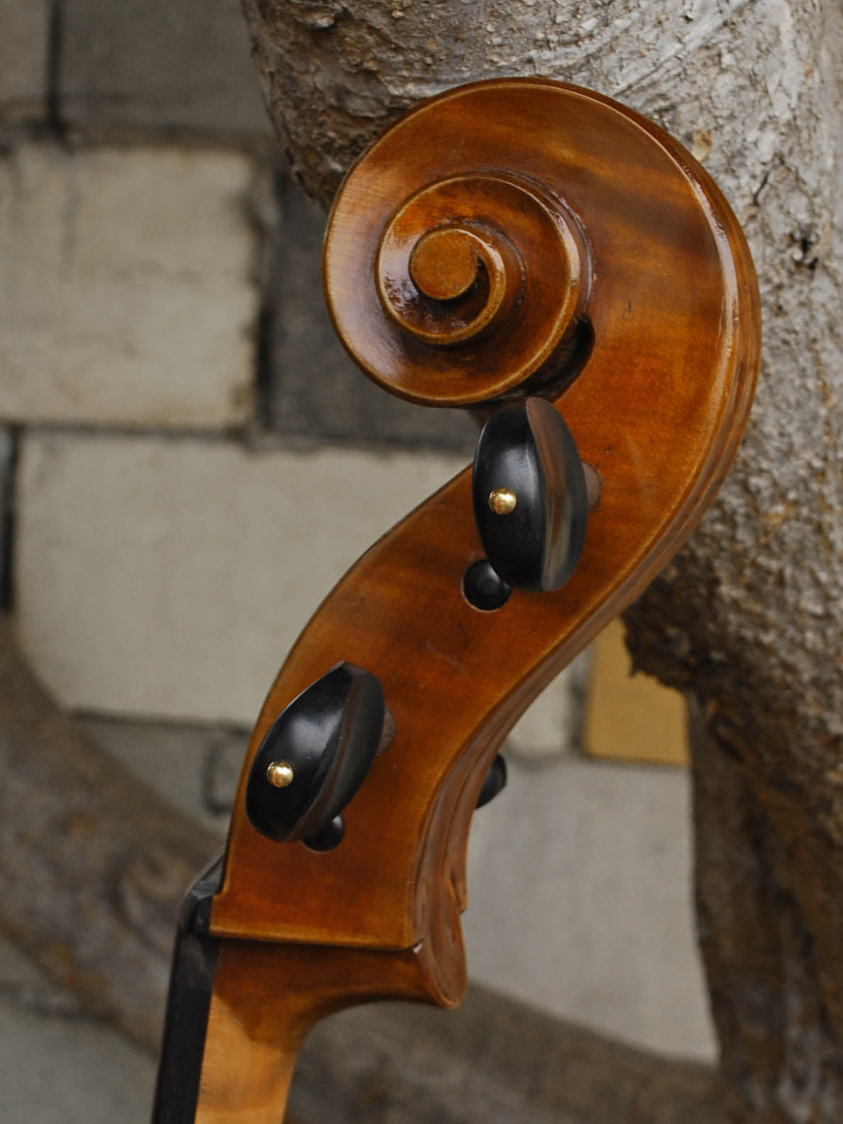 Eastman model 830 Poplar 7/8 Cello