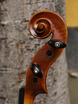 Salvatore Callegari Guarneri Eurowoods 4/4 Violin