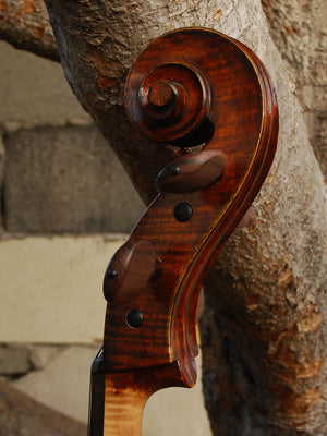 Johann Edler 'Testori' 3/4 Cello