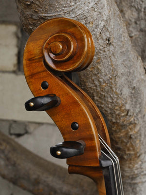 Eastman model 830 Poplar 7/8 Cello