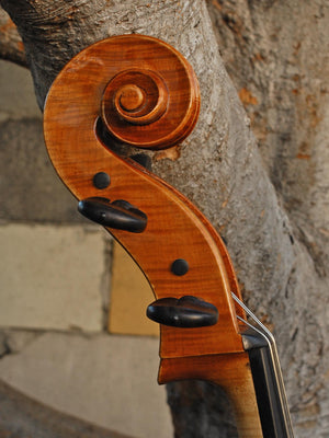 Tadeusz Slipek Master 'Jacobs' 4/4 Cello