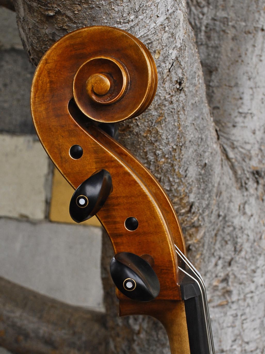 Bieg Company Geigenbau 'Stradivari' model 5 - 4/4 Cello