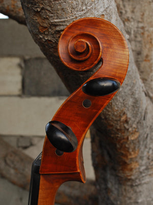Angel Taylor model 320 7/8 Cello