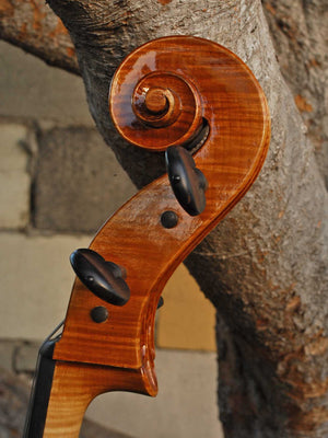 Tadeusz Slipek Master 'Jacobs' 4/4 Cello