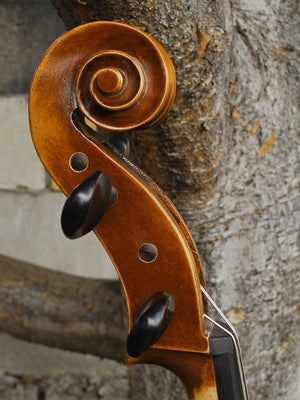 Vivo Strad model 100 3/4 Cello