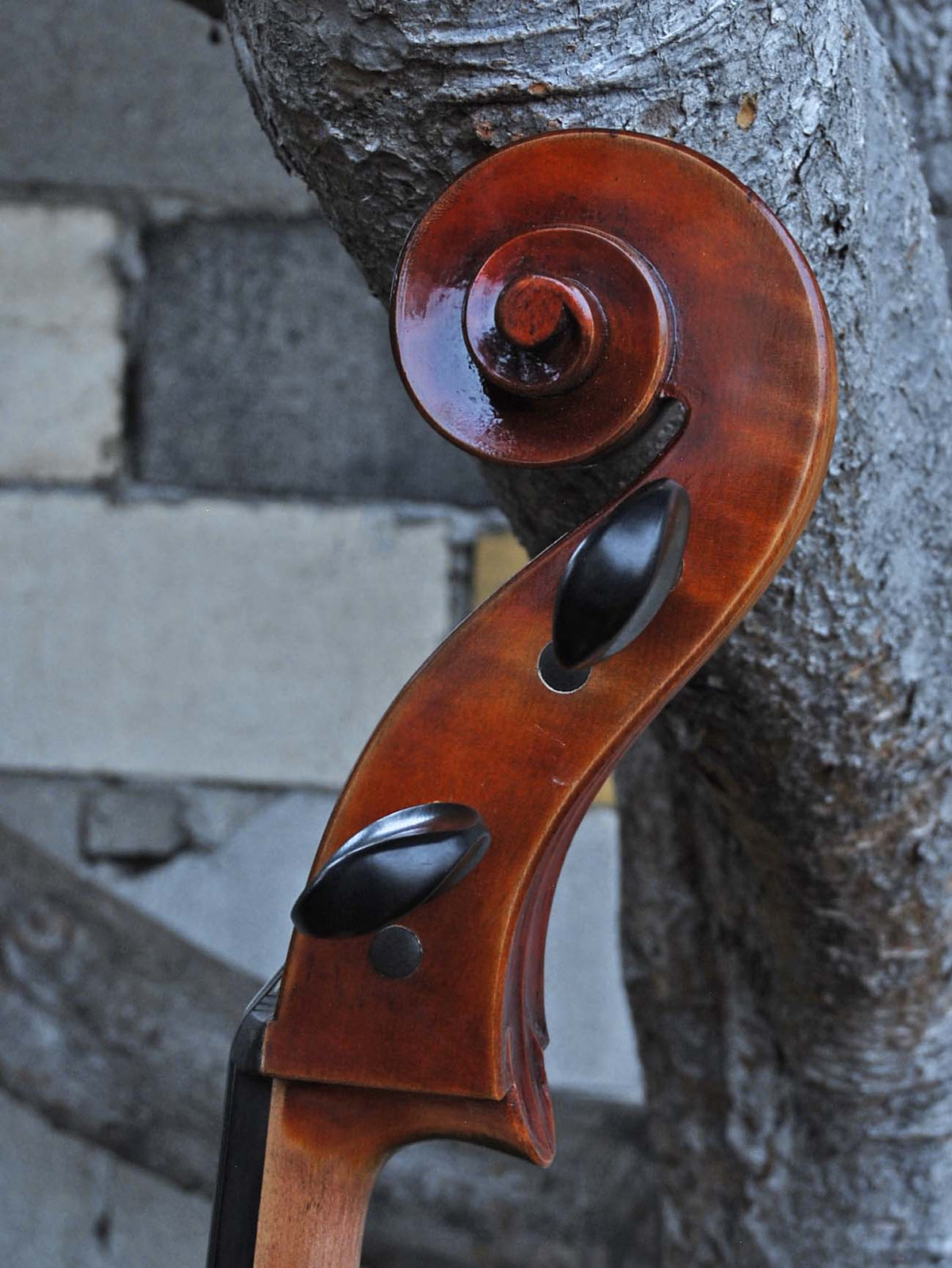 Vivo Strad model 250 3/4 Cello - slightly used