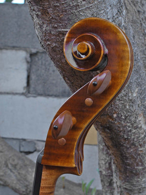Tomasz Kowalski Workshop Poplar 4/4 Cello