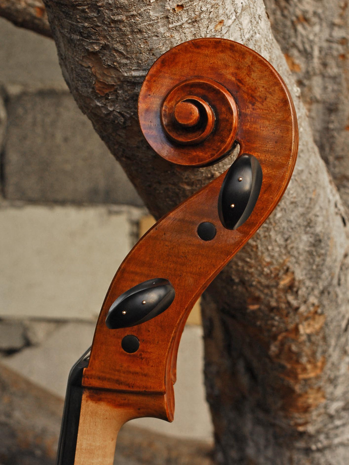 Andrzej Glodek 'Amati' Master 4/4 Cello