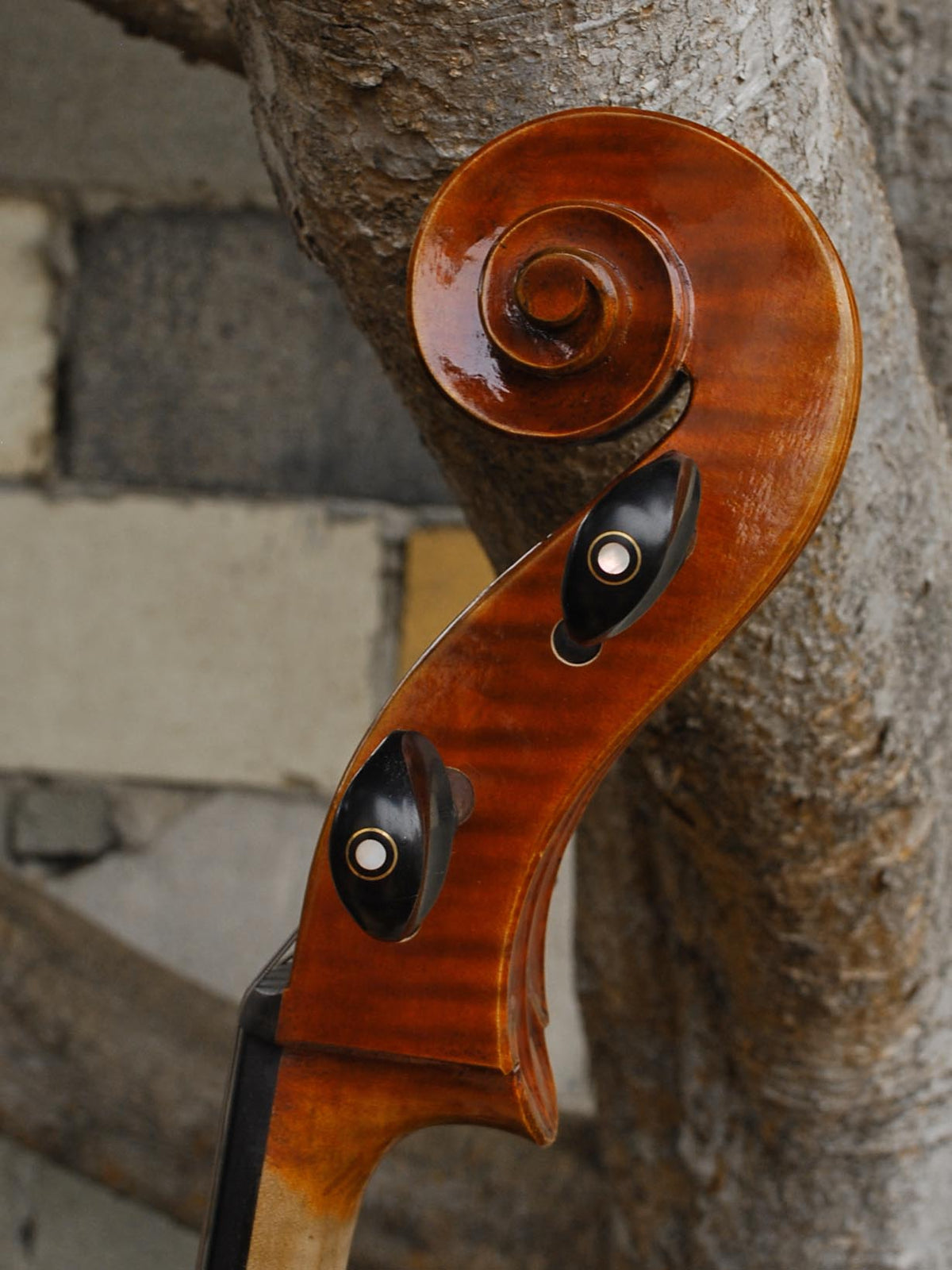 Sheng Liu #7 4/4 Cello