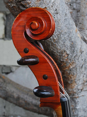 Erwin Hertel 1960 Master Grade 4/4 Cello