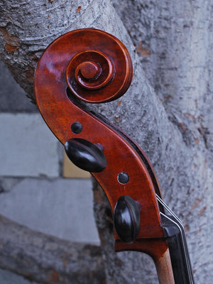 Rudoulf Doetsch model 701 7/8 Cello (B)