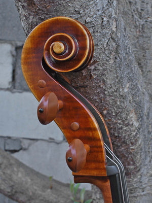 Tomasz Kowalski Workshop Poplar 4/4 Cello