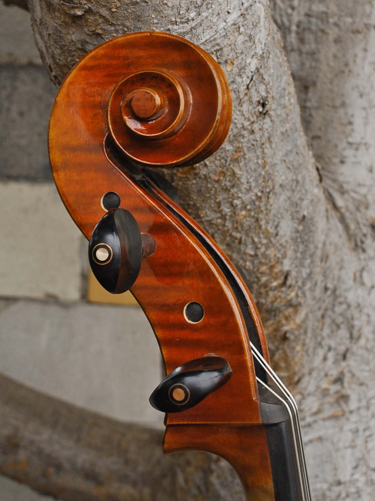 Sheng Liu #7 4/4 Cello