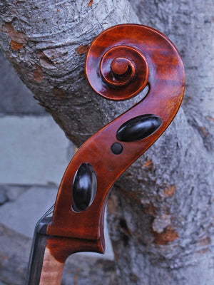 Rudoulf Doetsch model 701 7/8 Cello (B)