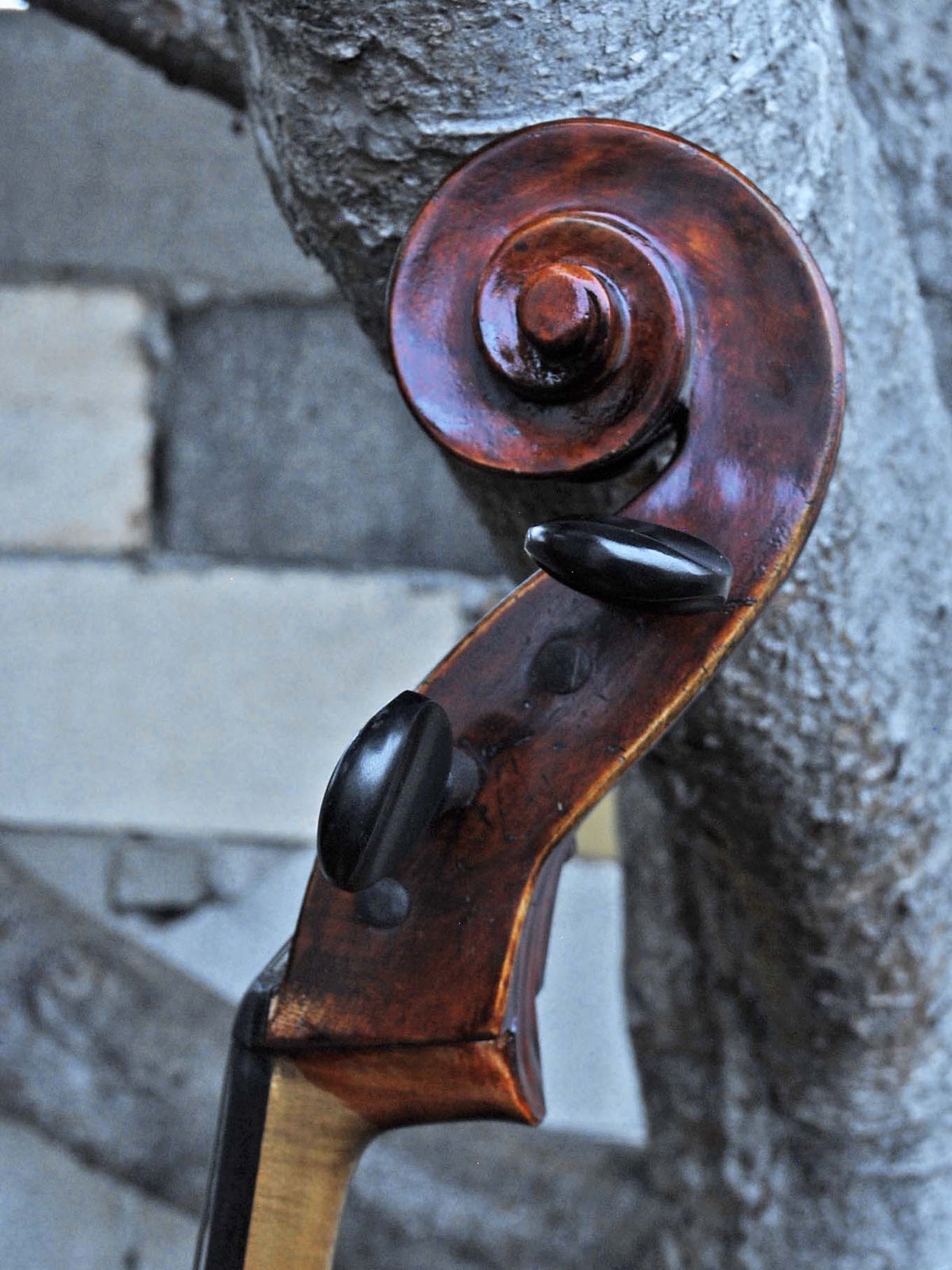 Michael Gerlach 3/4 Cello (183)